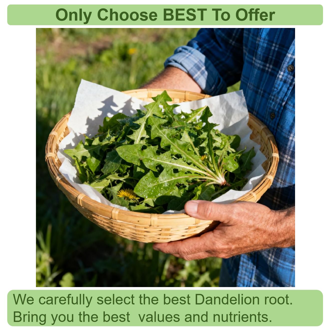 VerdantStrand 100% Natural & Pure dandelion root tea for liver & kidney health - 60 Tea Bags herbal tea with dandelion Leaf & Root- traditional Chinese tea，No Sugar, Caffeine-Free