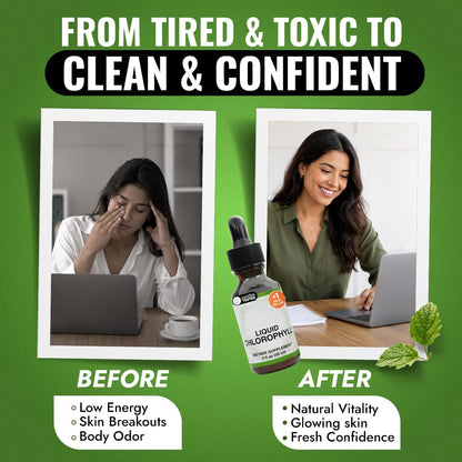 Benevolent Chlorophyll Liquid Drops for Internal Freshness, Peppermint