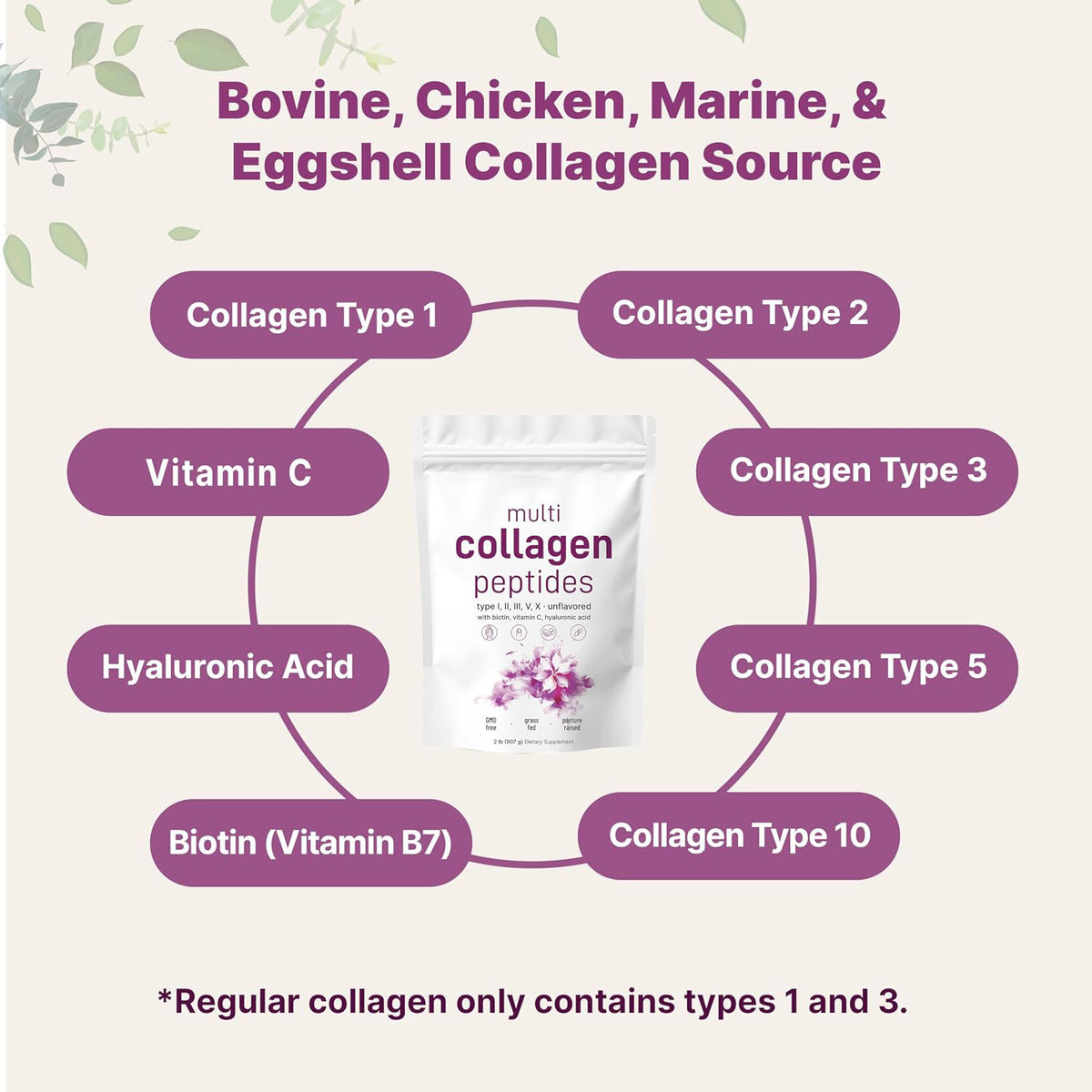 Micro Ingredients Multi Collagen Peptides Powder, 2lb (82 Servings)
