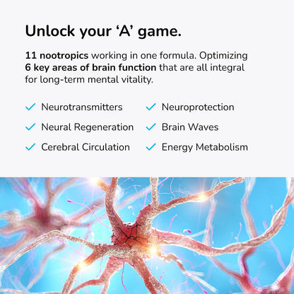 Mind Lab Pro® MLP® v4 Universal Nootropic™ Brain Booster Supplement, 60 Ct