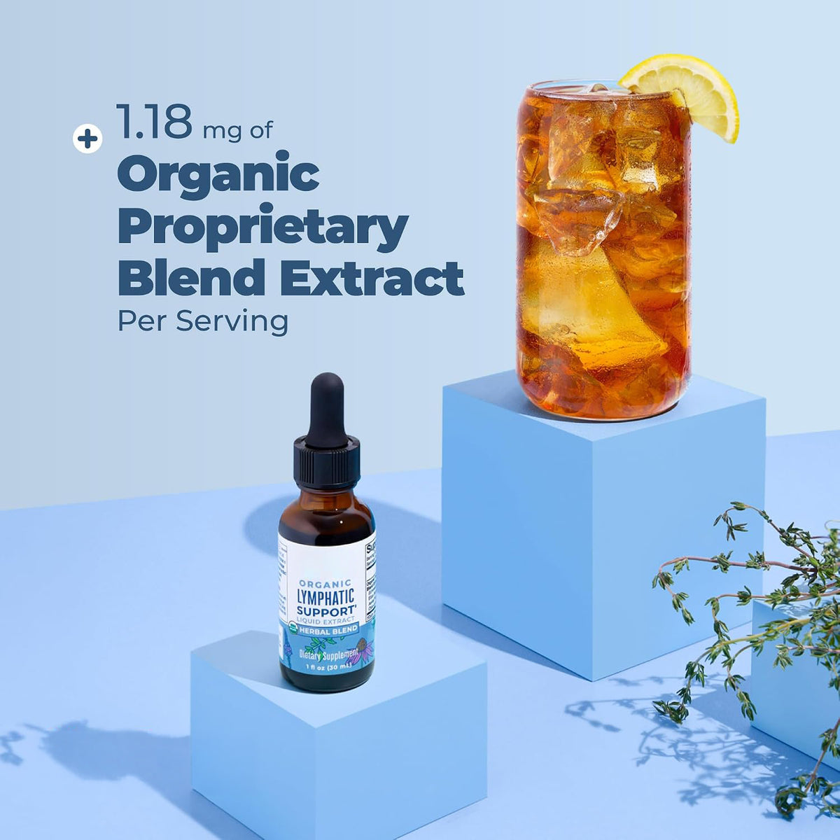 MARYRUTH'S Organic Lymphatic Support Liquid Drops, Herbal Blend, Non-GMO