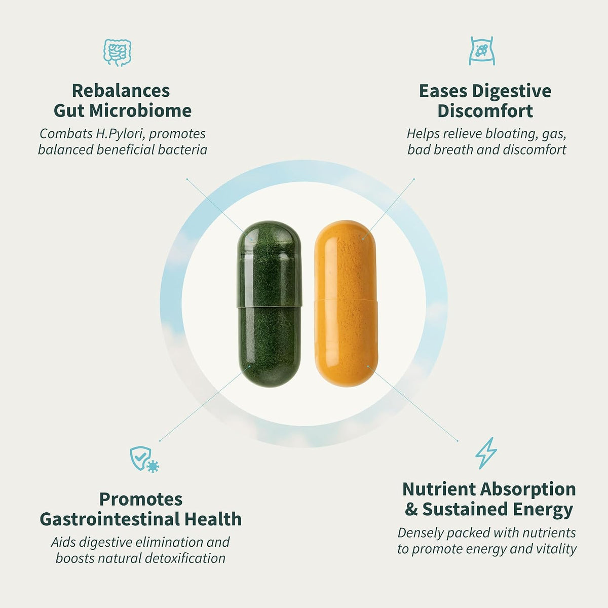 Snap Supplements Gut Health Supplement & Organic Spirulina Chlorella Bundle