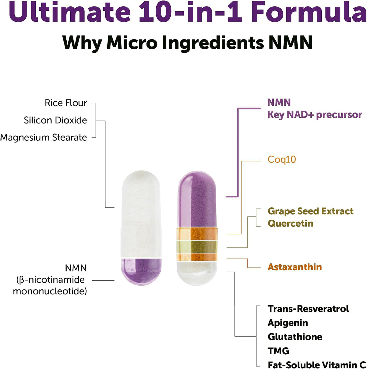 Micro Ingredients NMN Complex 1000mg Per Serving, 120 Veggie Capsules