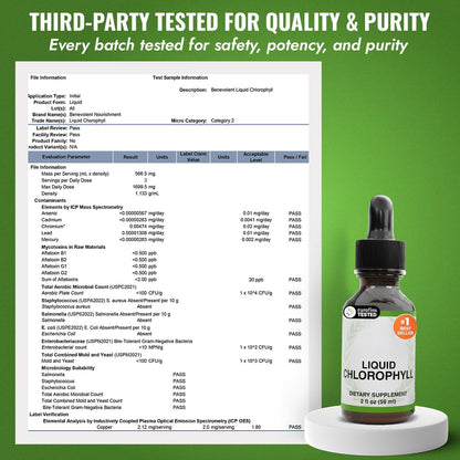 Benevolent Chlorophyll Liquid Drops for Internal Freshness, Peppermint