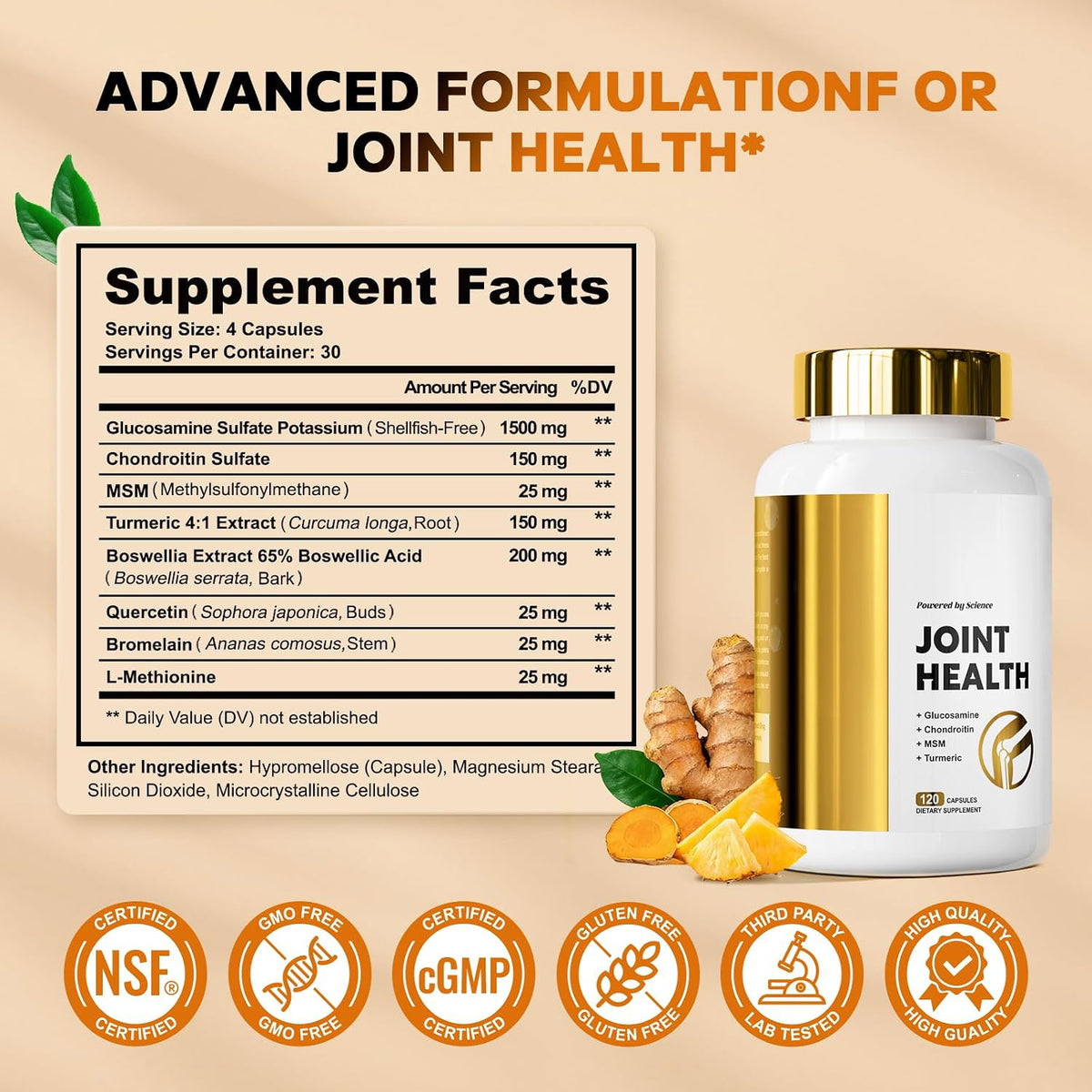 Glucosamine Chondroitin MSM for Joint Health and Flexibility