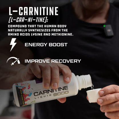 L-carnitine explanation graphic for energy and recovery