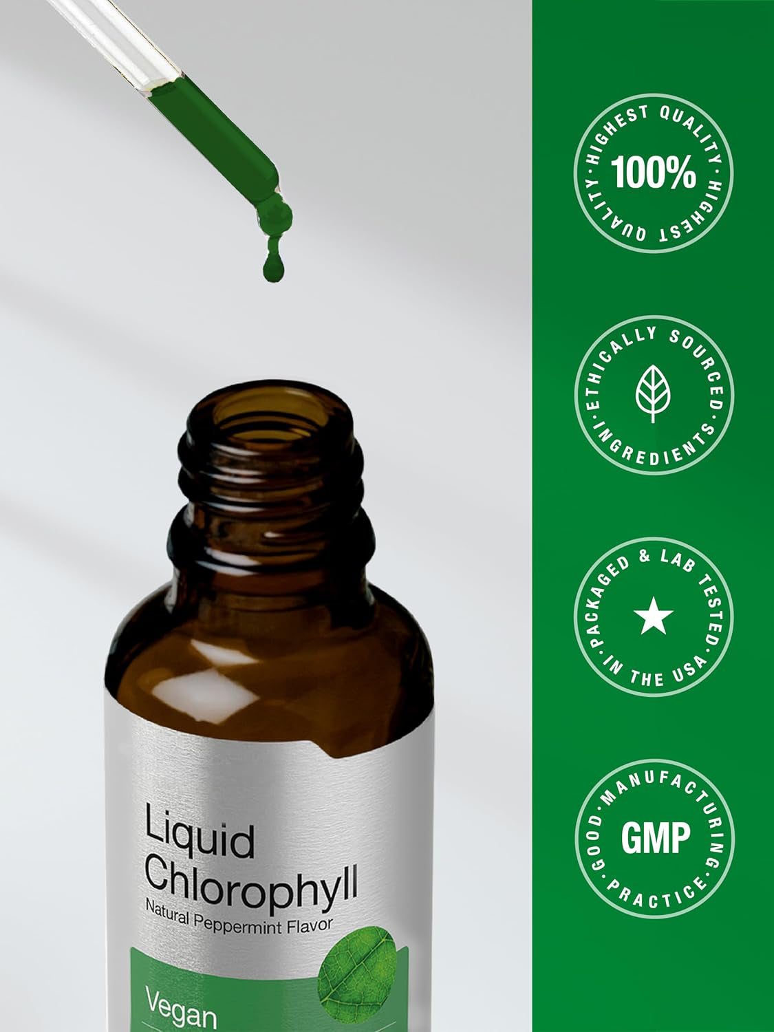 Horbäach Liquid Chlorophyll Drops | 2 fl oz | Natural Peppermint Flavor