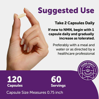 Micro Ingredients NMN Complex 1000mg Per Serving, 120 Veggie Capsules