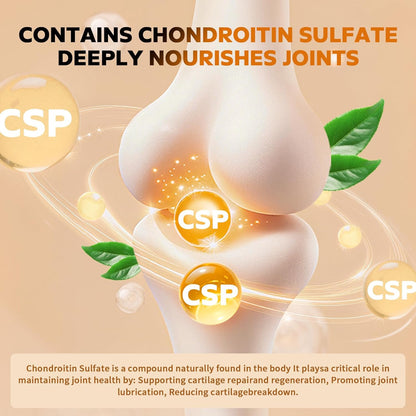Glucosamine Chondroitin MSM for Joint Health and Flexibility
