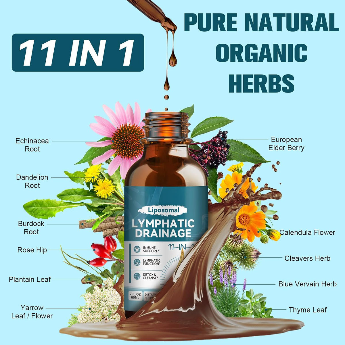 Liposomal Lymphatic Drainage Drops - 11 In 1 Organic Lymphatic Drainage Supplement with Burdock Root, Echinacea, Elderberry, Calendula, Cleavers Herb, Dandelion Supports Lymphatic Health 2 FL.OZ