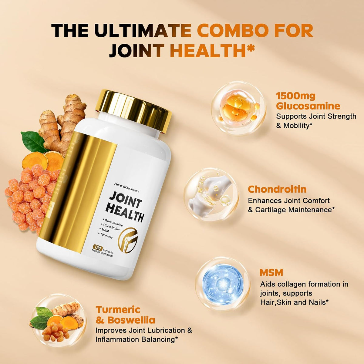 Glucosamine Chondroitin MSM for Joint Health and Flexibility