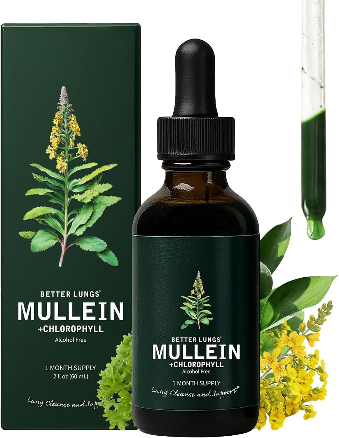 Betterbrand Mullein Drops, Alchohol-Free Lung Detox with Chlorophyll