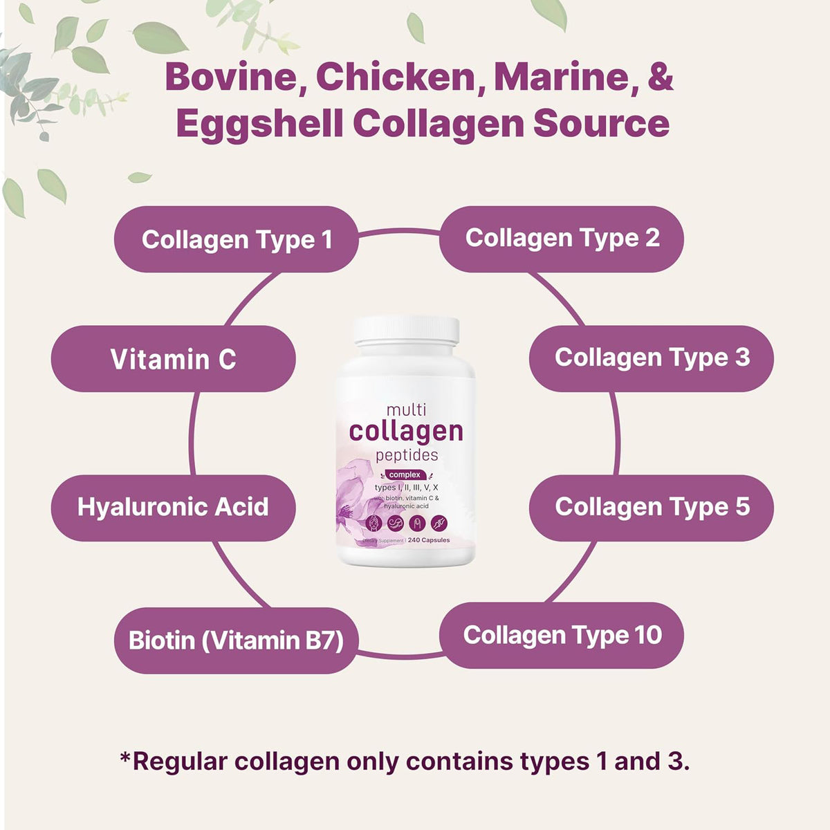 Micro Ingredients Multi Collagen Peptides Pills, 240 Capsules