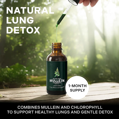 Betterbrand Mullein Drops, Alchohol-Free Lung Detox with Chlorophyll