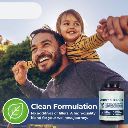 Why Not Natural Glucosamine Chondroitin, MSM, Joint Support Supplements - Knee Pain Joints Health Suppplement