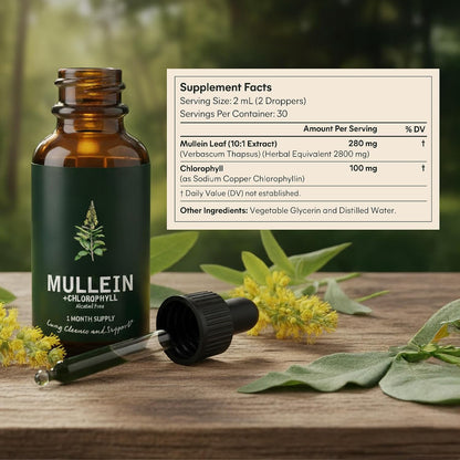 Betterbrand Mullein Drops, Alchohol-Free Lung Detox with Chlorophyll