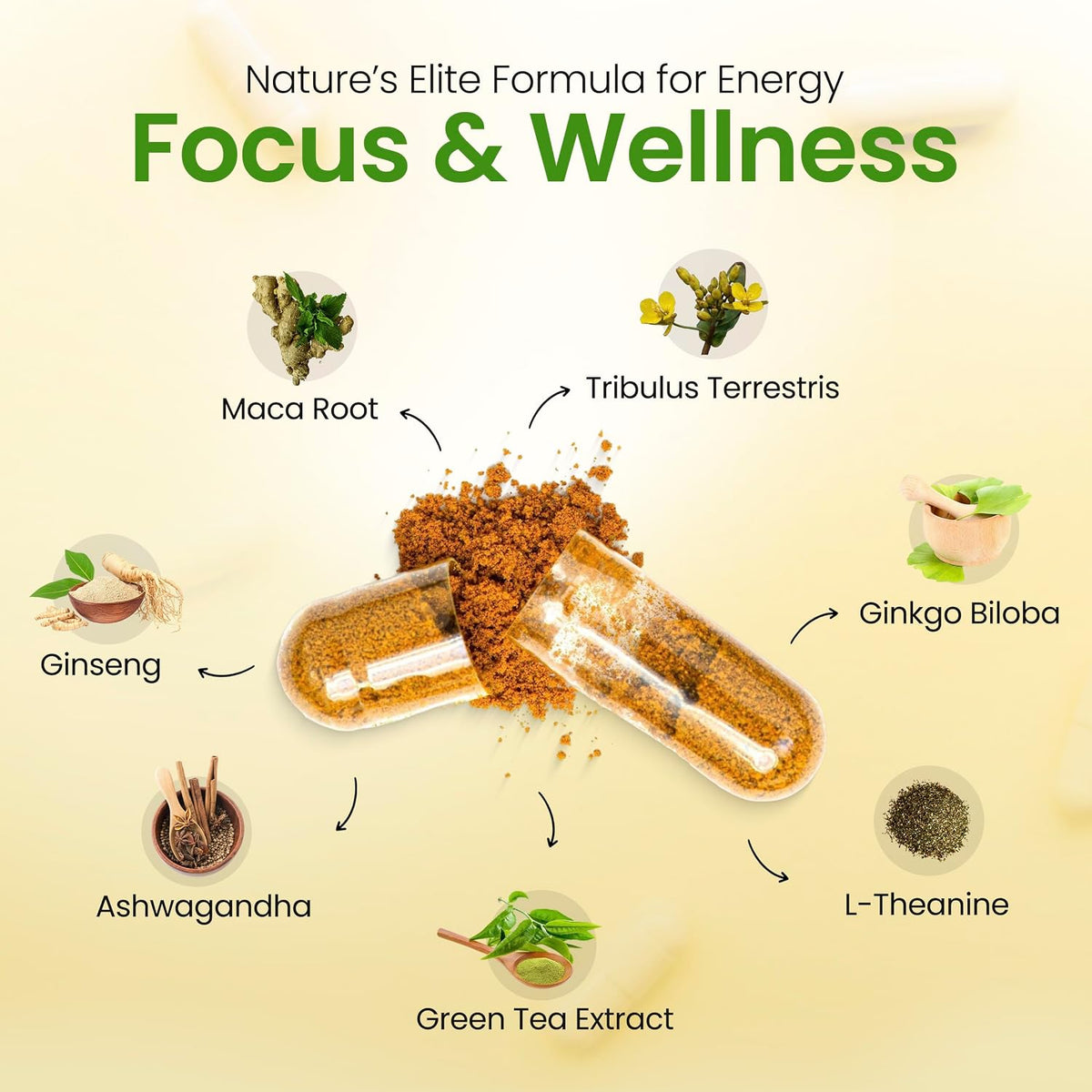 Botanical ingredients illustration with damiana leaf capsules