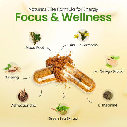 Botanical ingredients illustration with damiana leaf capsules