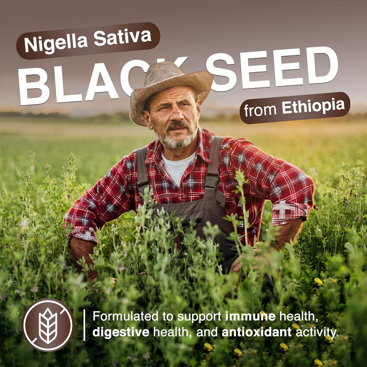 Ethiopian farmer standing in a black seed field
