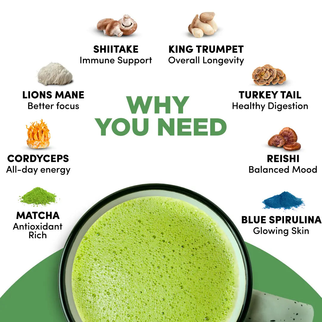 RYZE Mushroom Matcha Starter Kit, USDA Organic with 6 Adaptogenic Mushrooms and Ceremonial-Grade Japanese Matcha, Energy, Focus, Digestion, Immunity with Turkey Tail, Shiitake, Reishi, 60 servings